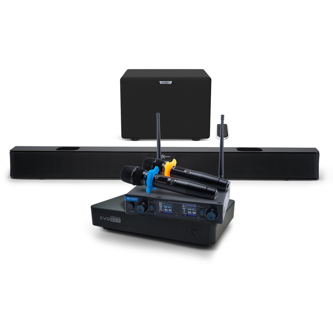 Hi-End караоке-система EVOBOX Premium + EvoSoundBar (саундбар с караоке) в Николаевске-на-Амуре