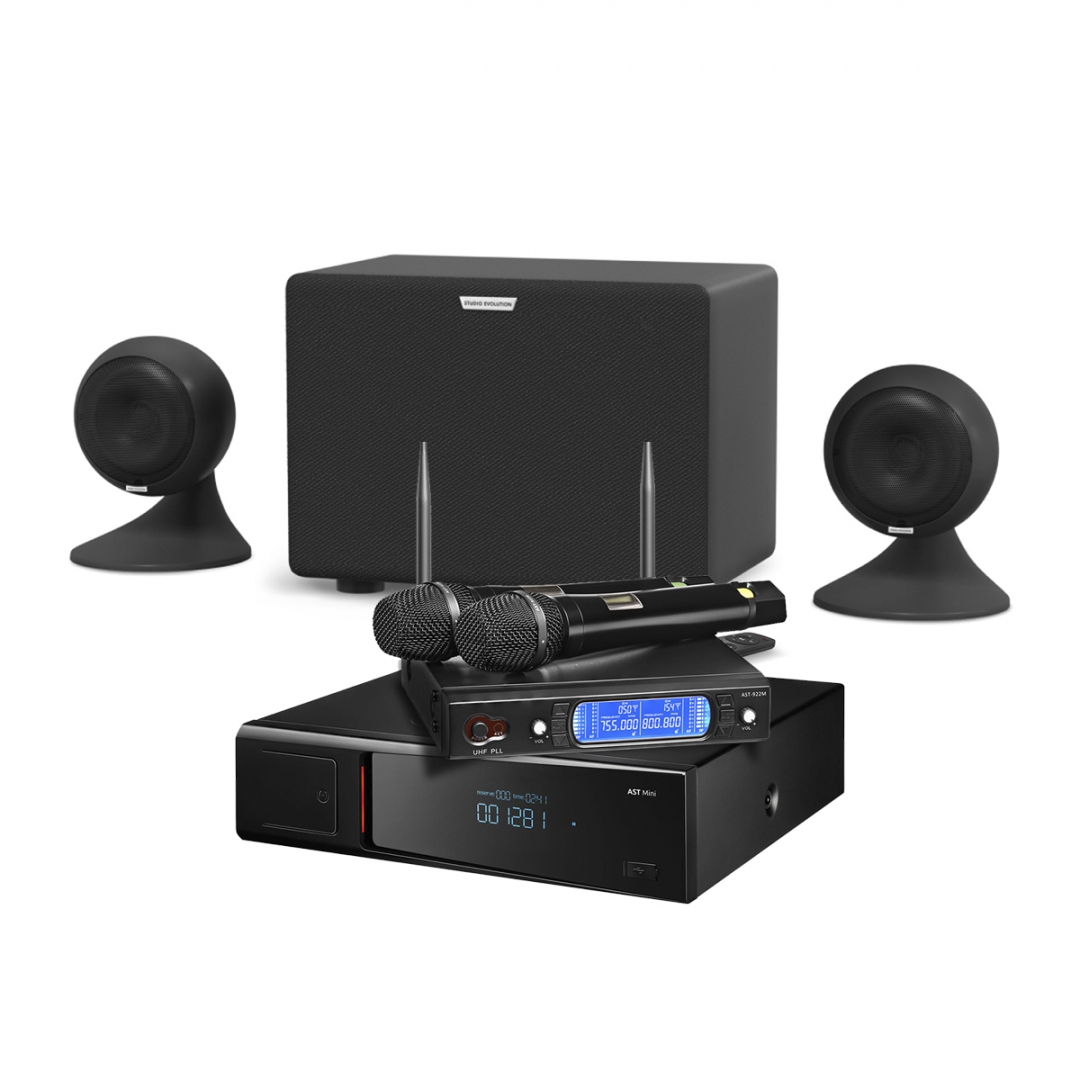 караоке-комплект AST Mini Sound Sphere в Николаевске-на-Амуре