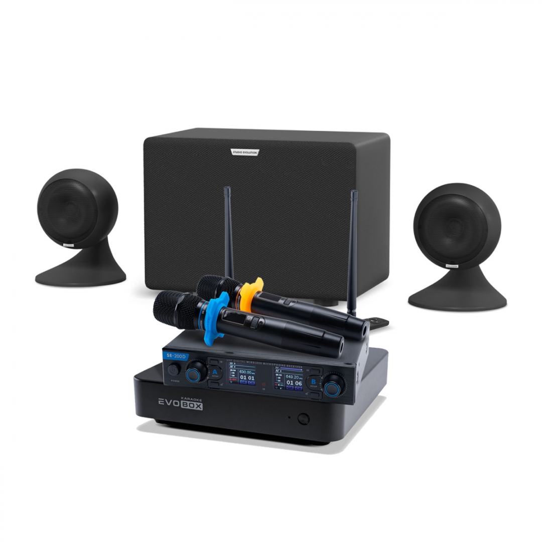 караоке-комплект EVOBOX + EvoSound Sphere 2.1 в Николаевске-на-Амуре