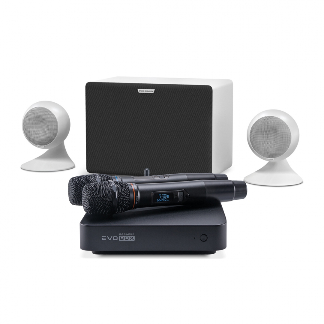 караоке-комплект EVOBOX Classic + EvoSound Sphere 2.1 в Николаевске-на-Амуре
