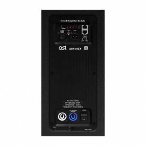 Активная акустическая система AST-310A в Николаевске-на-Амуре