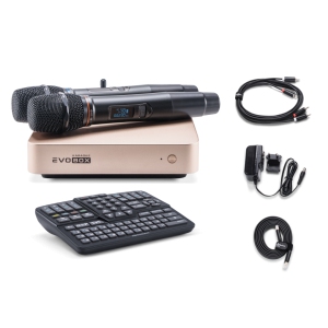 EVOBOX Classic караоке-система для дома в Николаевске-на-Амуре