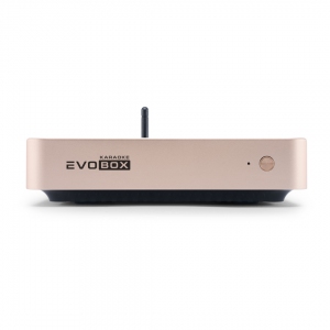 EVOBOX Plus караоке-система для дома в Николаевске-на-Амуре