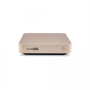EVOBOX с микрофонами в Николаевске-на-Амуре